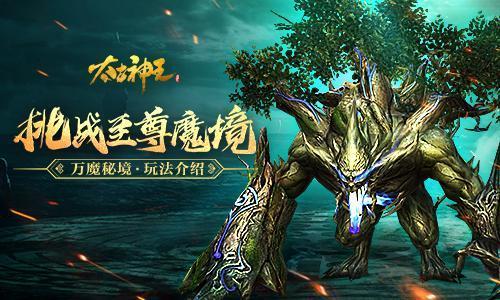 泪中的怀念